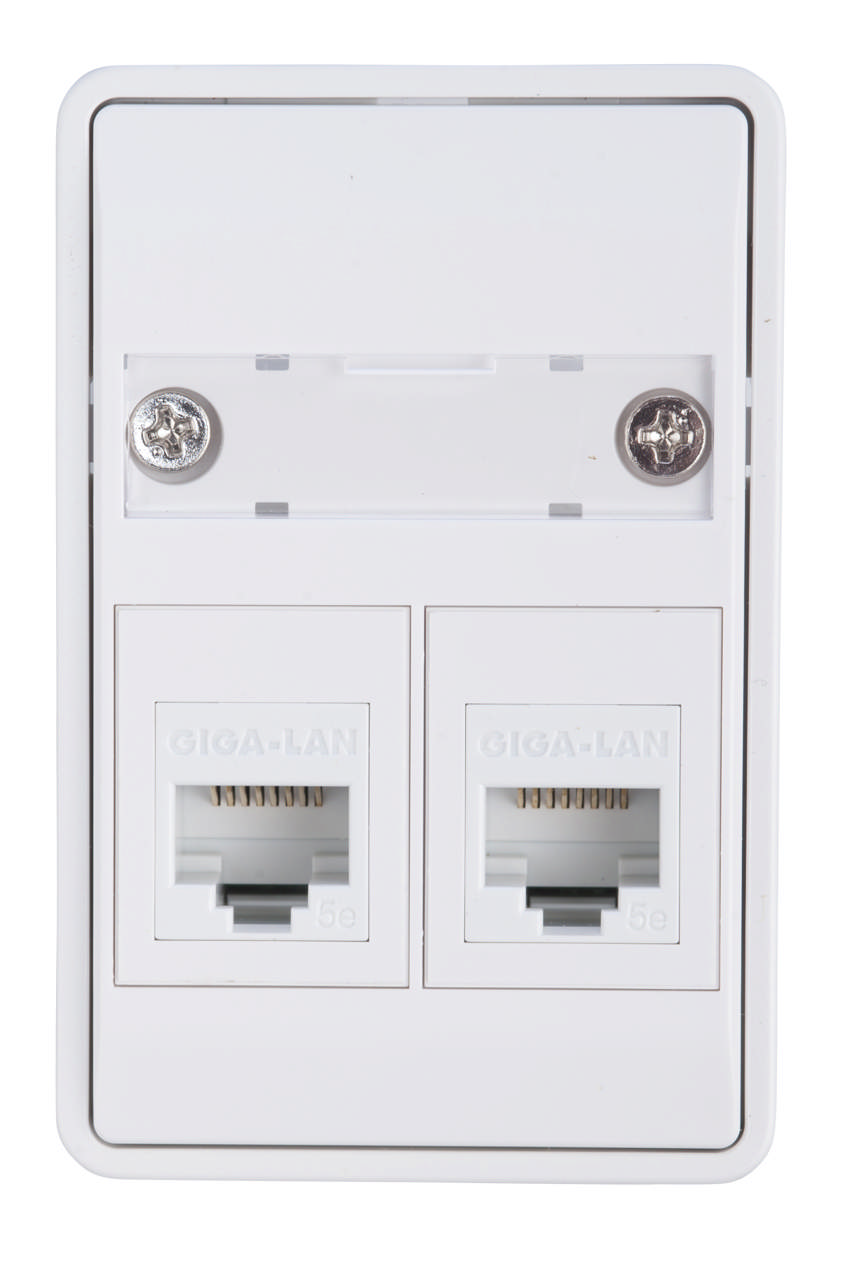 Dataudtag 1½ modul 2 stik