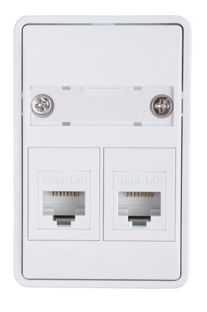 Dataudtag 1½ modul 2 stik